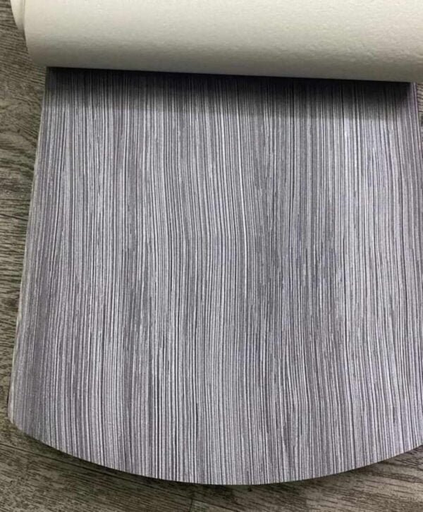 436667514_425953573576315_1537745144951673684_n فينيل - بلجيكي - فرنسي - أمريكي