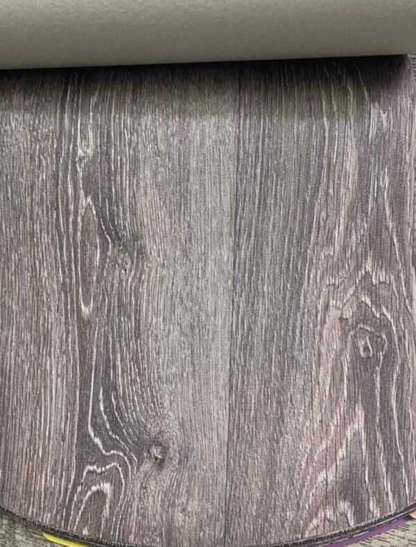 436723676_1519833252740555_13407478750827667_n فينيل - بلجيكي - فرنسي - أمريكي