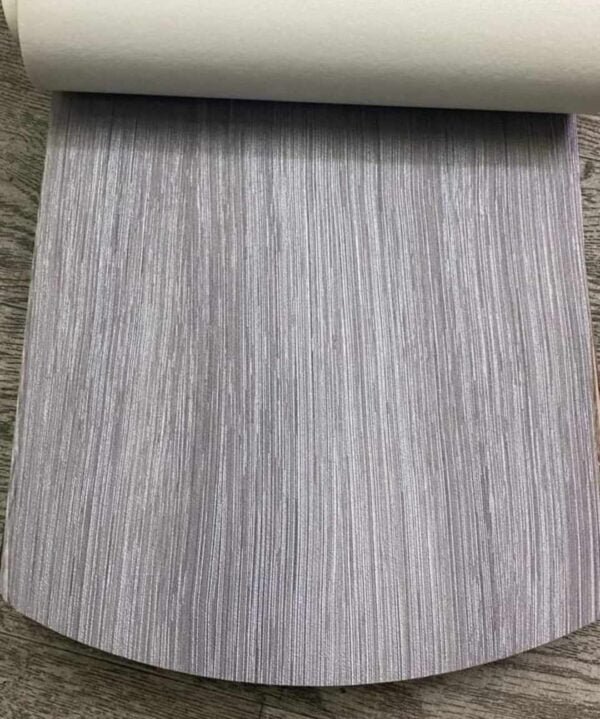 441951522_968200354942687_742290991562356858_n فينيل - بلجيكي - فرنسي - أمريكي